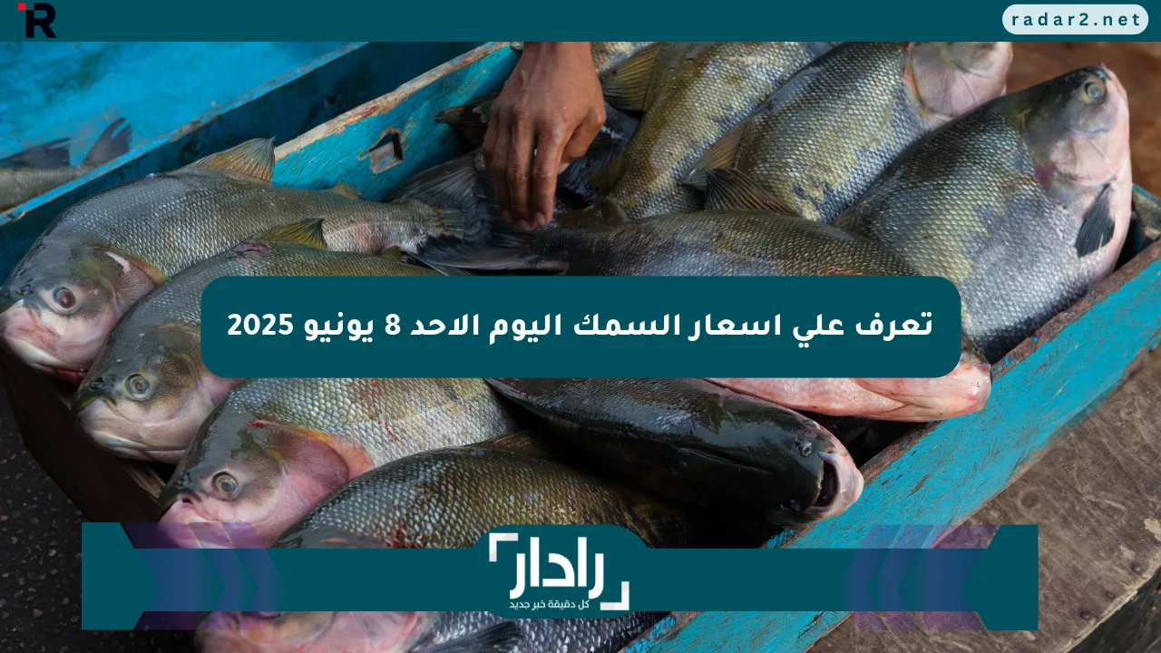 تعرف على أسعار السمك اليوم الأحد 8 يونيو 2025